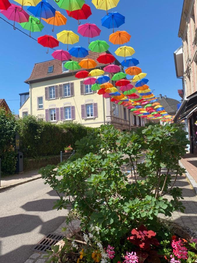 Meubles De La Doller, Les Canards Apartment Masevaux-Niederbruck Ngoại thất bức ảnh
